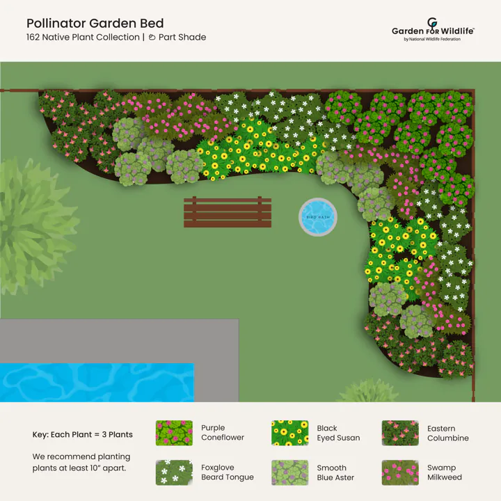 Pollinator Garden Bed - Image 3