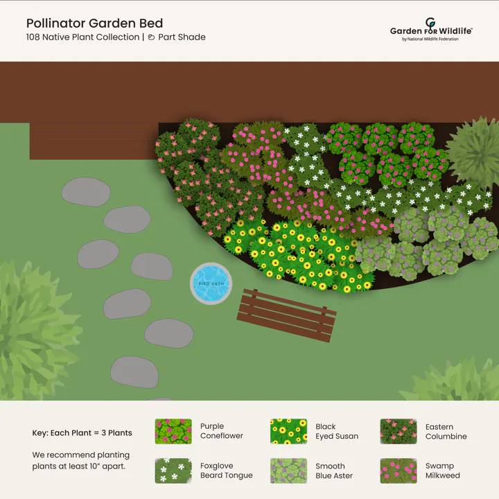 Pollinator Garden Bed - Image 4